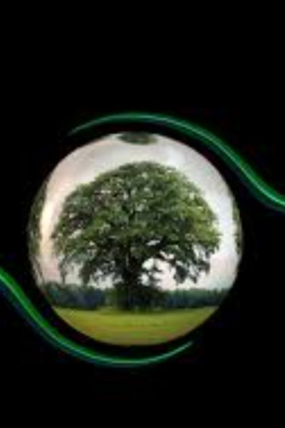 Ori and the will of the world