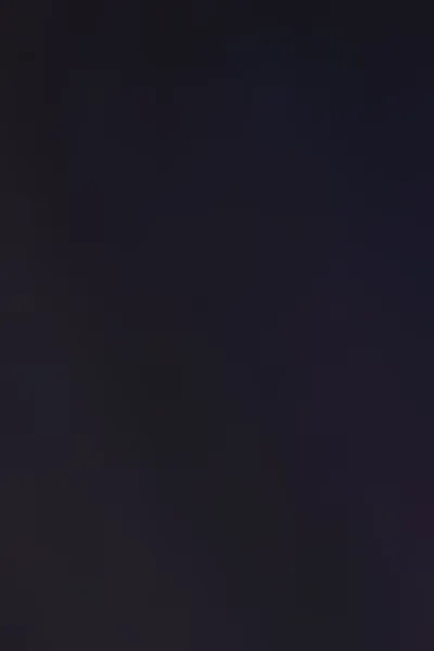 The Monarch Likes To Read