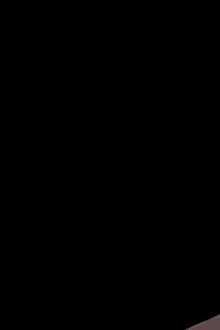 The Index Of QSQ