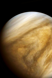 Infinity Doctrine: Avenging Venus