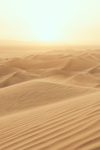 Reborn as a grain of sand