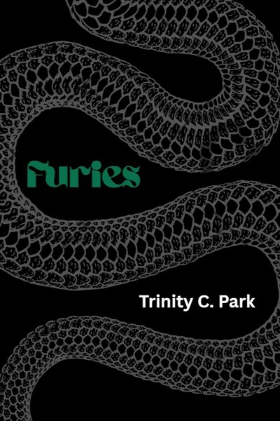 Furies (Light Novel)