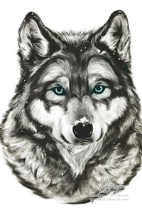 Moonlit journey in another world