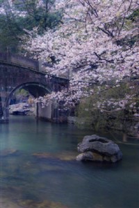 The Inquisition: DAI one-shot