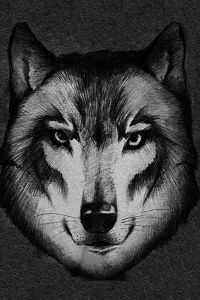 Wolf's Cry