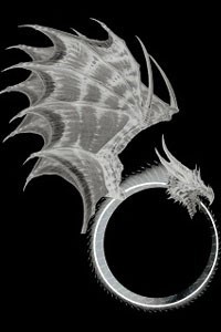 Ouroborus