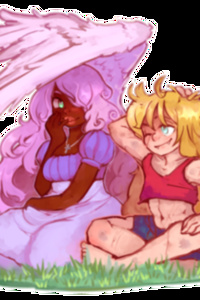 Blossoms and Illusions