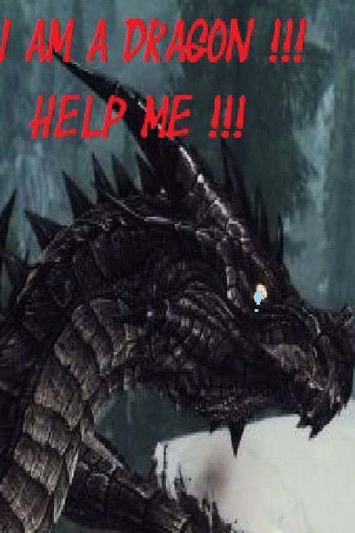 I am a dragon! Help me! (TOME 4 of the TIAMAT'S WARS SERIE)