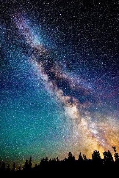 For Those That Never Came To Be